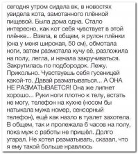 Смешные комментарии и высказывания из социальных сетей