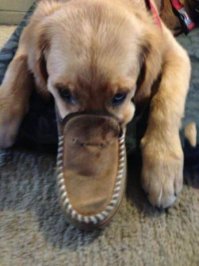 Подборка картинок