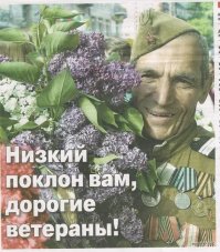 Обречённые на смерть. Как разведчик спас из окружения немцев 1255 человек
