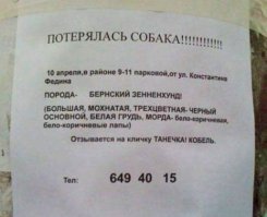 Прикольные  объявления и картинки с просторов интернета