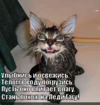 Очередная порция картинок с подписями и без