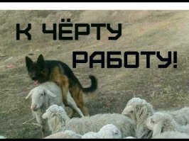 Очередная порция картинок с подписями и без