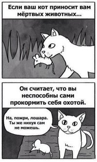 Очередная порция картинок с подписями и без