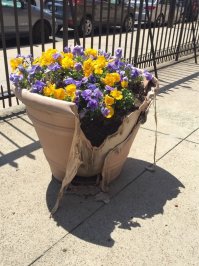 45 невероятных теней, которые заставят вас взглянуть на них дважды