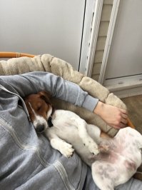 Мы за добро!