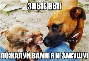 Подборка фото приколов, ч 6