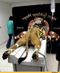 )))))) навеяло