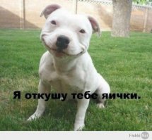 Крупнейшие экспортёры и импортёры на планете