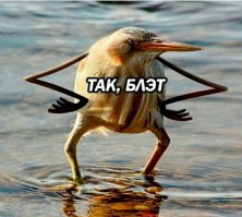 Культурный обмен