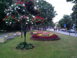 ты хоть в Eвропе то был ?
Литва , г Паланга,
два дня назад фоткал