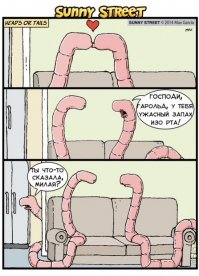 Это удивительное животное выглядит не совсем прилично