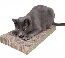 Когтеточка.