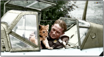 да ничо.
это львёнок.