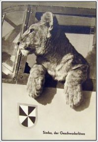 да ничо.
это львёнок.