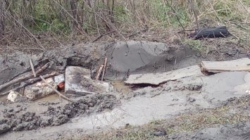 вот как то так это выглядело.

оранжевое чудо, это и есть спаситель.