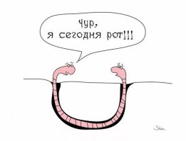 Это удивительное животное выглядит не совсем прилично