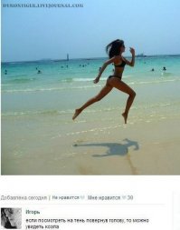 45 невероятных теней, которые заставят вас взглянуть на них дважды