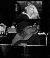 Битва фотожабберов