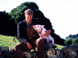 А фермер один в один как в фильме "Бейб: четвероногий малыш":