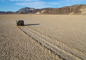 В тенёк приполз)