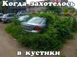 Автовсячина