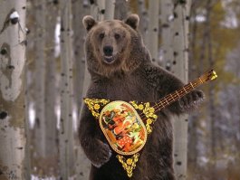 Братан, ты не путай )))))))). Наши медведи всё больше по русским народным. К симфониям они равнодушны ))))))))