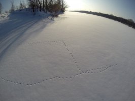 Я наблюдатель 