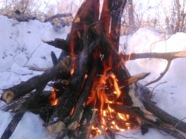 Я наблюдатель 