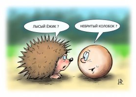 Советы от профи: как замаскировать лысину