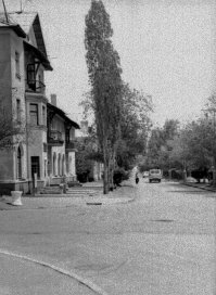 У нас в городе такие домики сталинских построек до сих пор стоят (фото старое, новых нет)