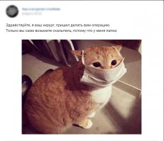 Смешные комментарии из социальных сетей