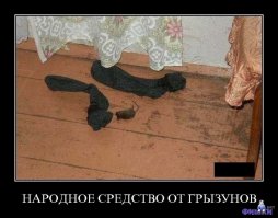 Что можно сделать из одинокого носка?