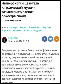 Ты опоздал, буквально на четыре минуты