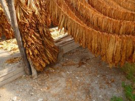 Подростку дали 5 лет за борьбу с беззаконием