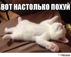 Адель больше никто не увидит?