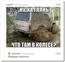 Смешные комментарии и высказывания из социальных сетей