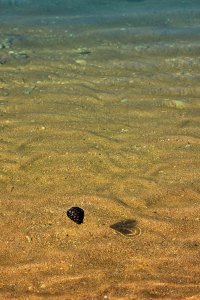 это я снимала на Тамани. ЭТо не Геленджик! вот вам вода в Геленджикской бухте! Не понимаю,откуда столько ненависти.... и кстати в бухте отличное течение..