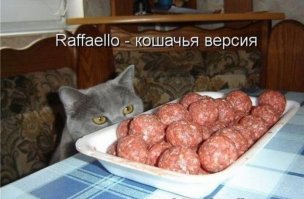 Кошки-воришки