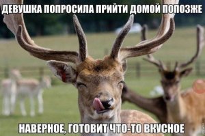 Cмешные комментарии из социальных сетей