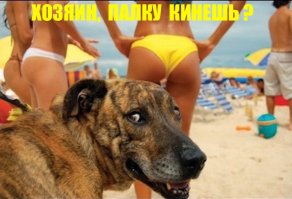 Очередная порция картинок с подписями и без