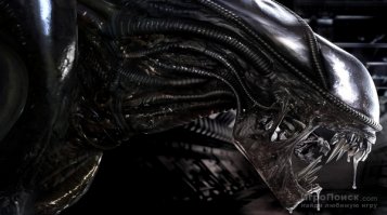 Есть другие тараканы. Но они больше, быстрее и выше!