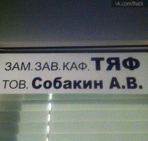 Очередная порция картинок с подписями и без