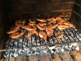 А знаете, какое существо самое шумное в океане?