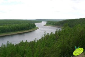 Природные парки и заповедники России