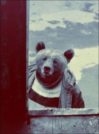 38 удивительных и странных фотографий