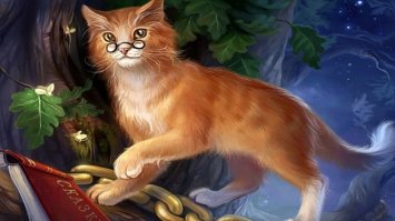 Хатуль Мадан.
Я тебе просто ссылочку дам.
Есть что почитать. И посмеяться.