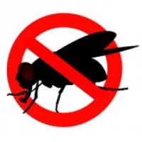 Надо перед окном знак установить.