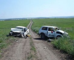 Каждый бык подумал, что он главный.