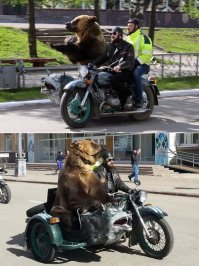 Родной город! Мобильная реклама гастролирующего цирка зверей!