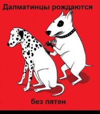 Девушка, которую дразнили за необычную внешность, может стать новой "Мисс Вселенной"